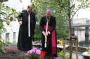 Biskopen planter en alm