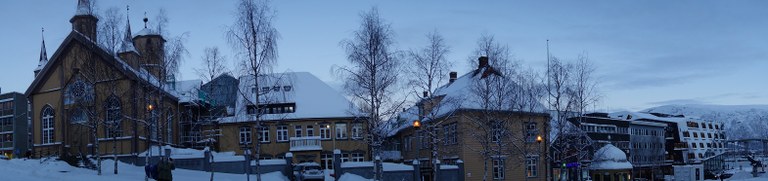 Vår Frue og anlegget rundt januar 2017 Marek Michalski MSF.JPG