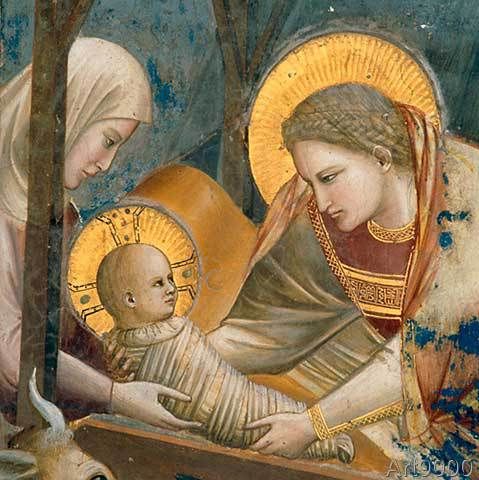 GiottoćBirth of Christ.jpg