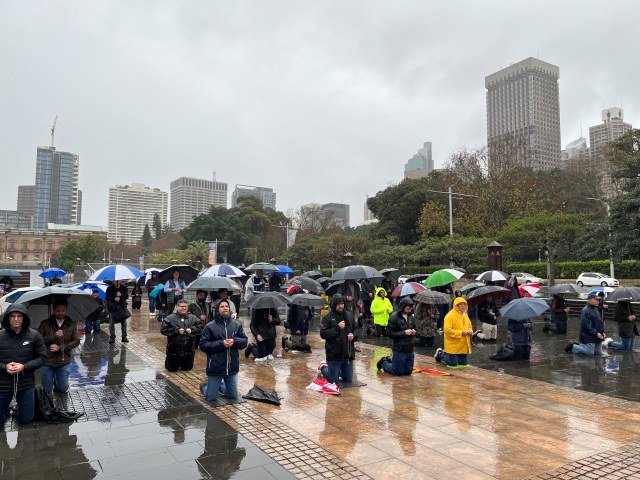 rosenkrans regn sydney.jpg