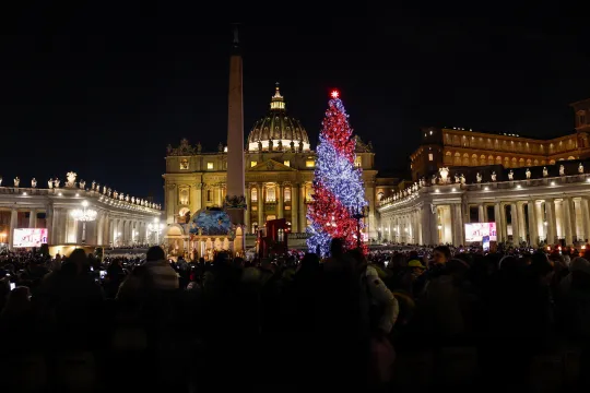 Opplyst juletre foran Peterskirken på Petersplassen