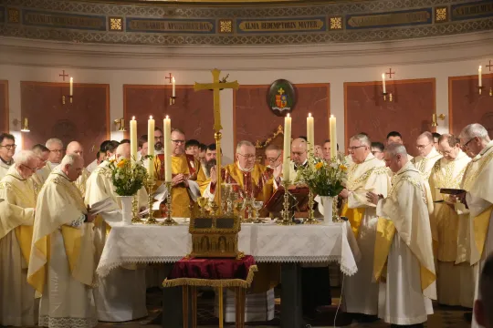 Kardinal Pietro Parolin feirer messe i St. Ansgar domkirke i København