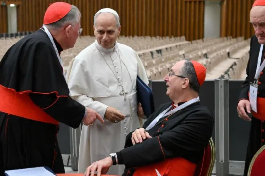 Pave Leo XIV snakker med kardinaler i Paul VI-salen