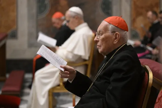 Pave Leo XIV og kardinaler sitter i Det paulinske kapell