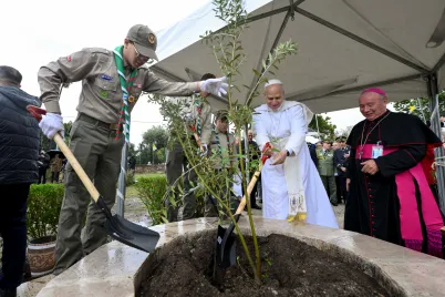 Pave Leo XIV planter et oliventre i Algerie