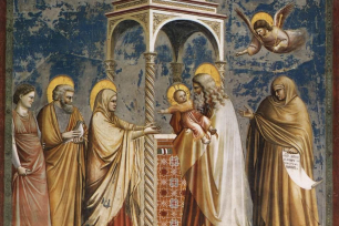 Giottos freske av Jesus som blir frembåret i tempelet