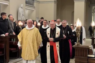 Parolin i København